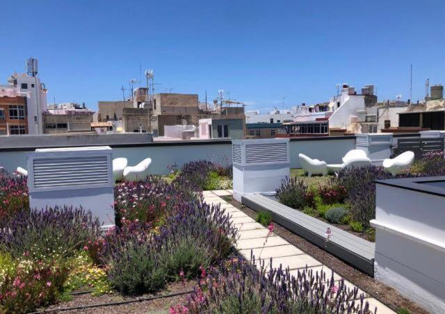 Zen Garden Daire Las Palmas de Gran Canaria Dış mekan fotoğraf
